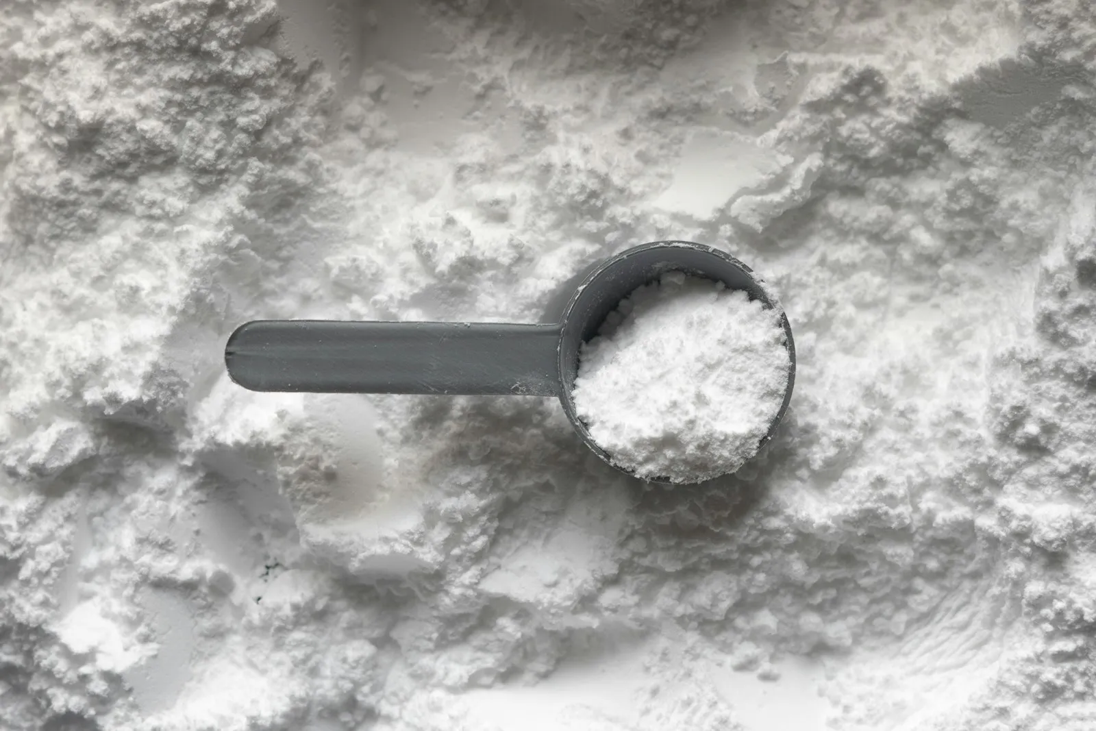 Bitkisel Proteinler